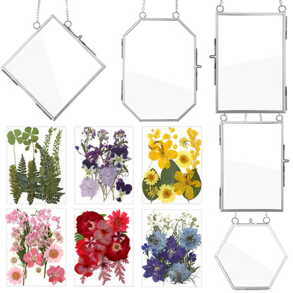 Bucherry 5 Pcs Glass Frame for DIY Pressed Flowers Art Hanging Photo Picture Frame with Chain and 6 Styles Pressed Flowers Collage Glass Craft Frames for Wall Decor Display Gallery (Silver)