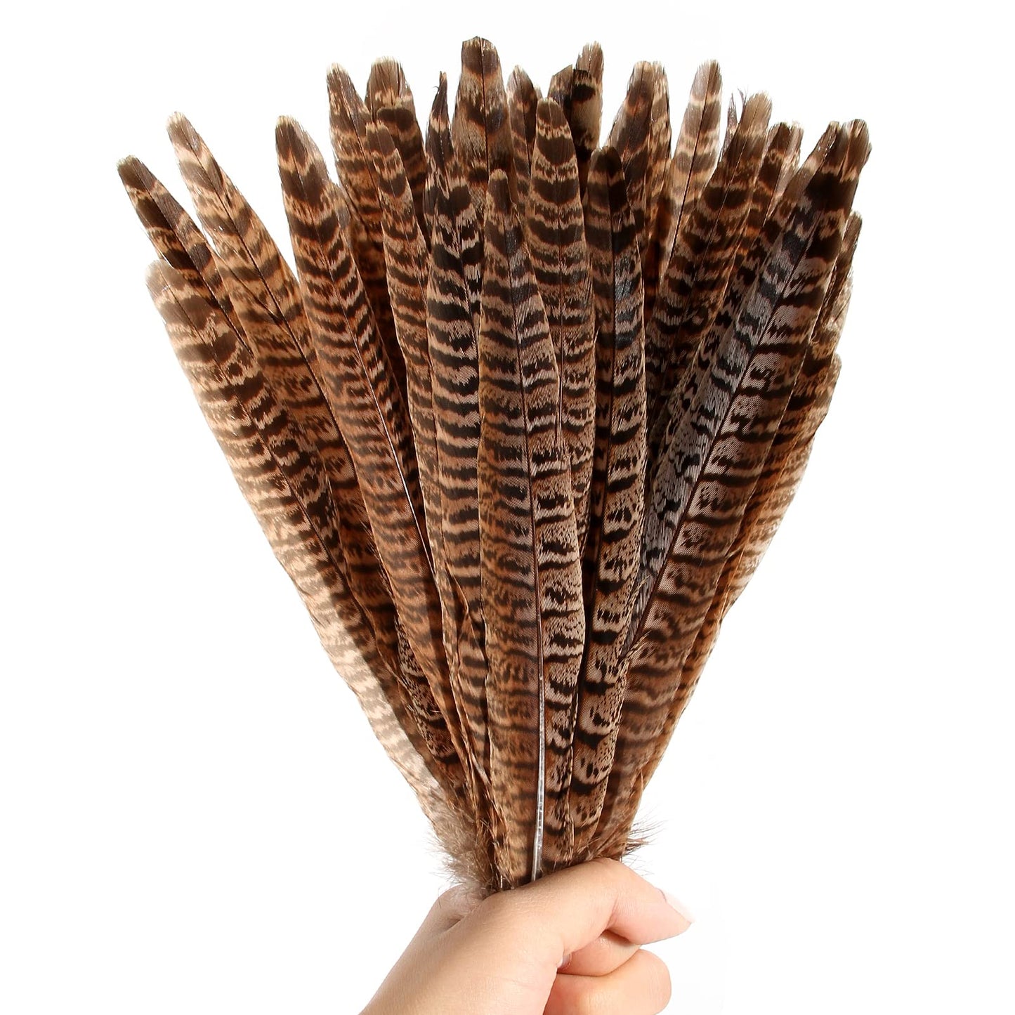 THARAHT 24pcs Female Ringneck Pheasant Tails Feathers Natural Feathers 10-12inch 25-30cm for Crafts Home Wedding Party Performance DIY Decoration Female Pheasant Feathers