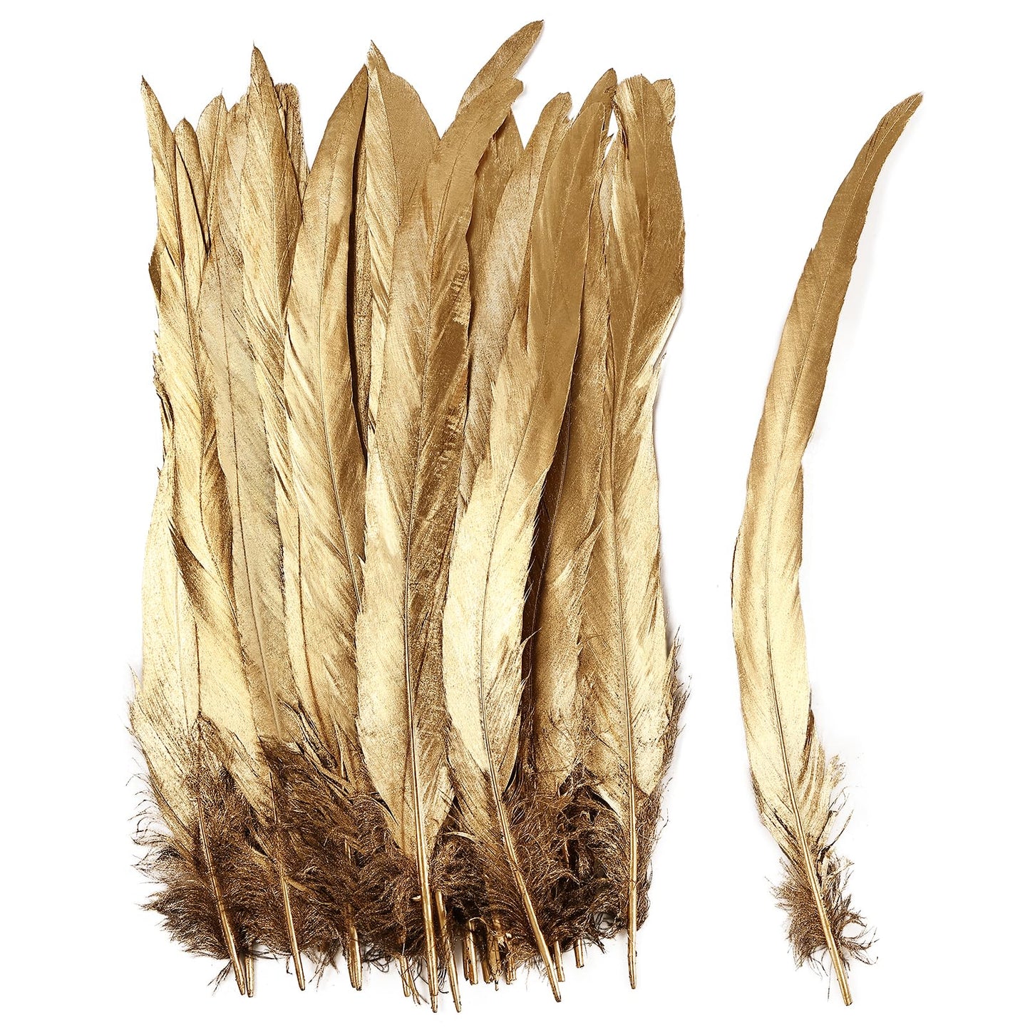 iHUFeather Natural Rooster Tail Feathers 50pcs 10-12inch Long Rooster Coque Tail Feathers Bulk for DIY Crafts Costume and Halloween Party Performances Decoration(Gold)
