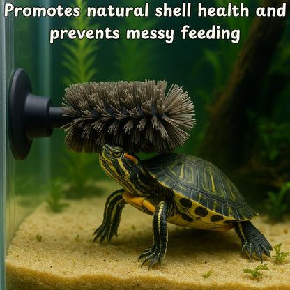 Turtle Shell Cleaning Suction Brush Tank, Turtle Scratcher for Tank Shell Cleaner with Suction Cup and Handheld Back Scratcher Remove Mud Dirt, Tortoise Habitat Accessories (Gray)