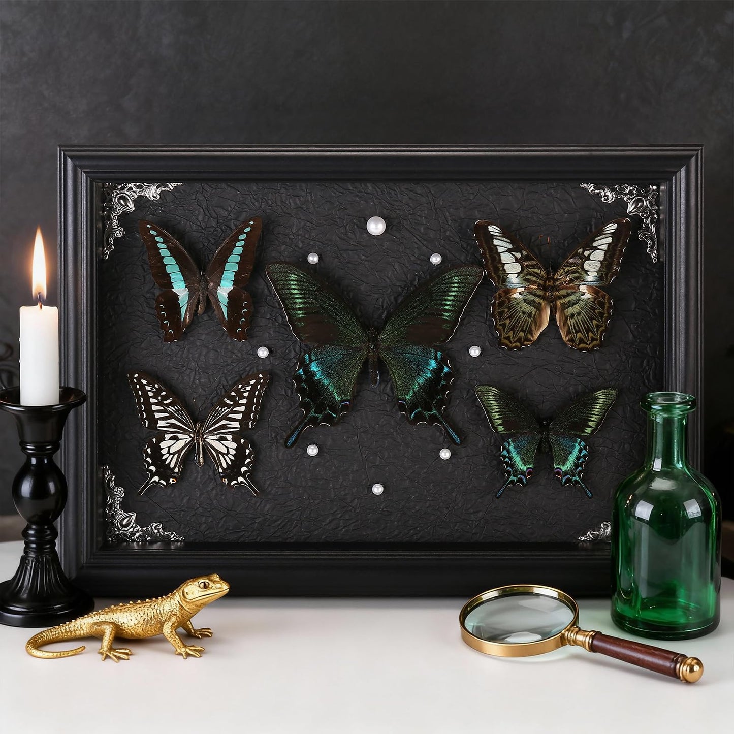 Real Framed Butterfly Taxidermy Collection - Set of 5 in Shadow Box Display - Natural Wood Frame with Museum Quality Preservation - for Home Decor, Wall Art, Gift