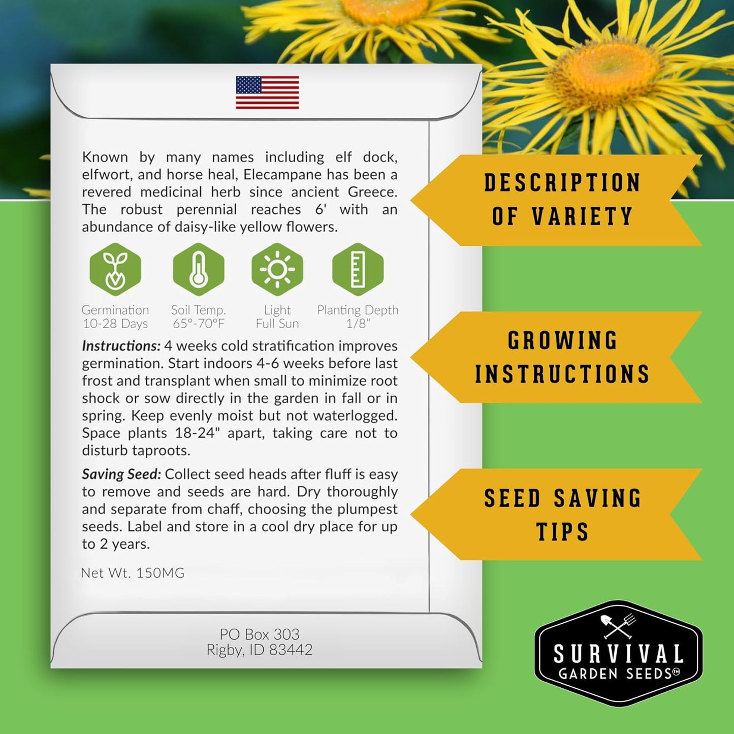 (1 Pack) Elecampane Seeds for Planting - Traditional Medicinal Herb (Inula helenium) with Tall Yellow Blooms