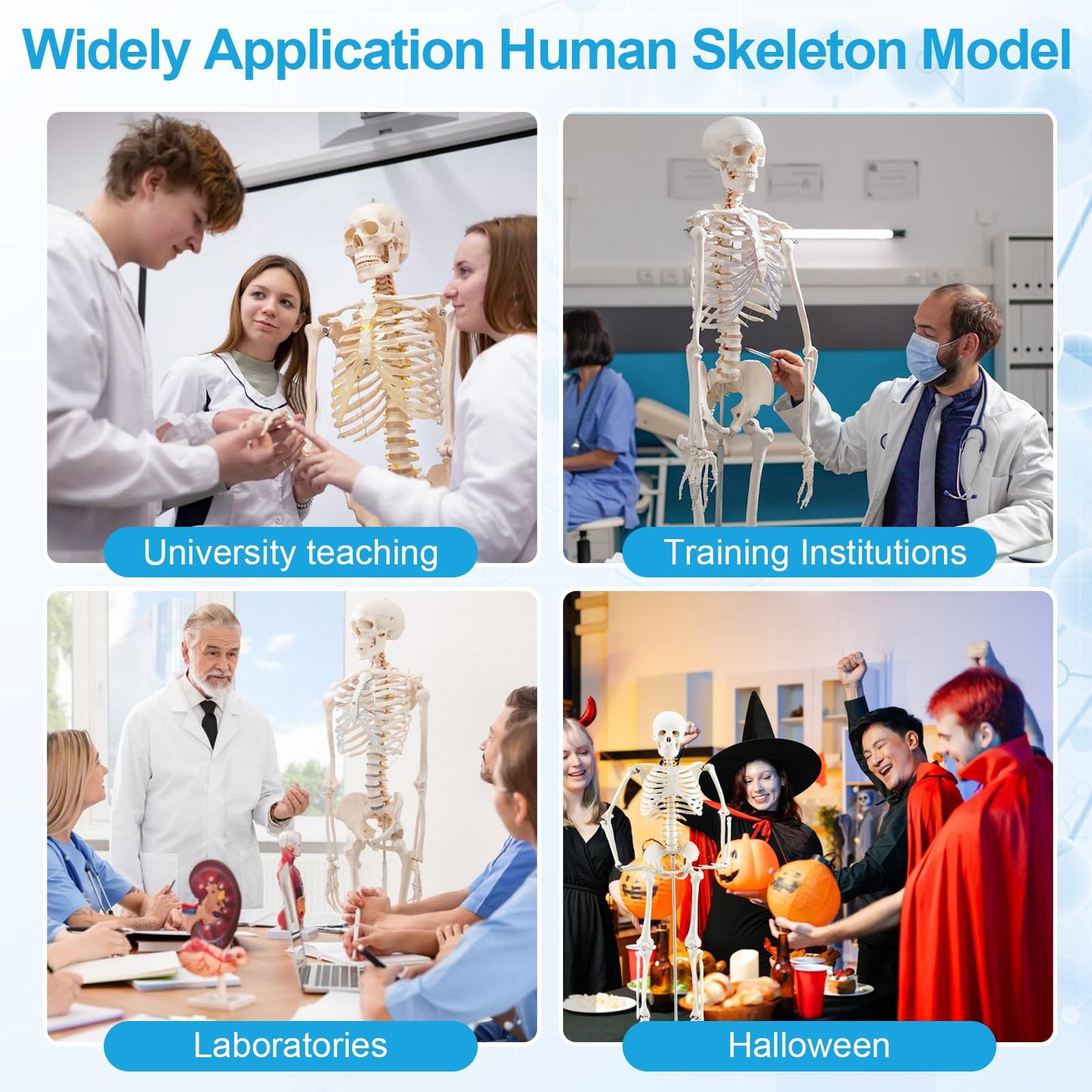 TYRRDE 33.4-Inch Human Skeleton Model – Mini Skeleton Anatomy Model with Nerves, Removable Arms & Legs, Scientific Study Painted Skeleton Model for Clear, Realistic Details with Display Base (Beige)