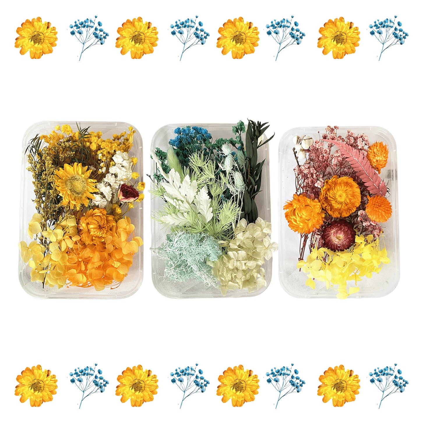 QinXunTa 2PCS Dried Flowers Kit, Natural Dried Flowers Kit for DIY Crafts, Scrapbook, Card Making (Style18_24_27)
