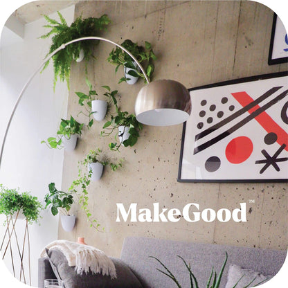 PlantPod Luxe - Self-Watering Wall Planters (Set of 6) - Easy to Water and Install - Lightweight - Design Your Own Vertical Garden - Wall Planters for Indoor Plants