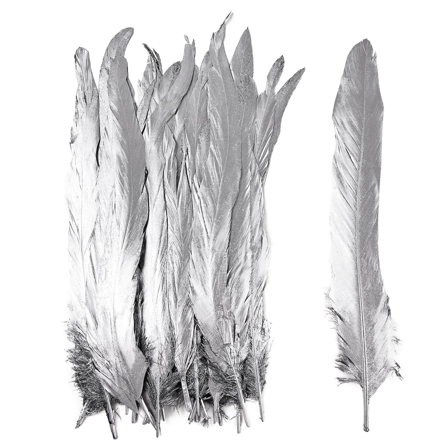 iHUFeather Natural Rooster Tail Feathers 50pcs 10-12inch Long Rooster Coque Tail Feathers Bulk for DIY Crafts Costume and Halloween Party Performances Decoration(Silver)