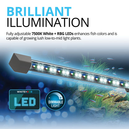 Fluval Flex 9 Aquarium Kit - Fish Tank for Fish & Plants - Comes with LED Lights, Filtration System & More - 36" x 18" x 18" - 34 L, 9 Gal. - White