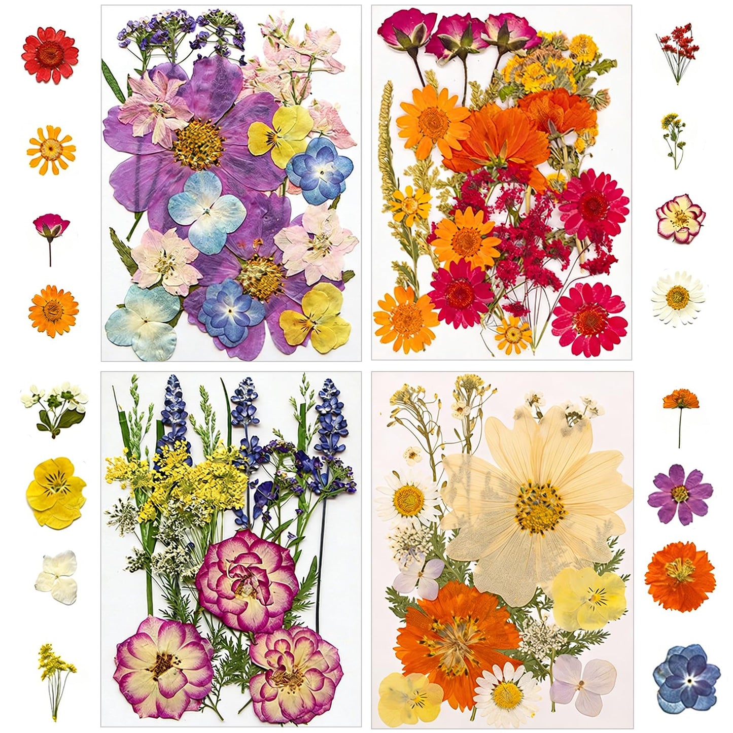 173 pcs Dried Flowers for Resin, Natural Flowers and Leaves Kit with Butterfly Stickers， Vacuum Sealed DIY Pressed Flowers for Jewelry Molds, Candle Soap Making, Scrapbook, Nail Art (Colorful-G)