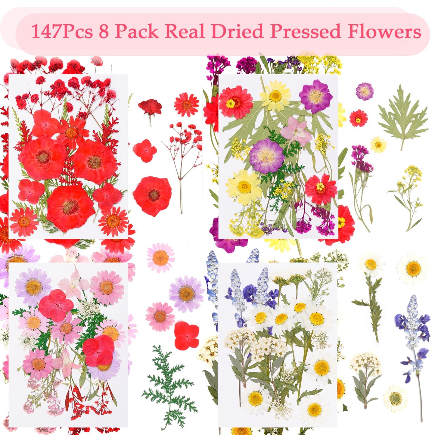 Dfqsofd 228Pcs Pressed Dried Flowers with Butterfly Stickers for Crafts, Natural Real Dried Pressed Flowers for DIY Art Butterfly Stickers Tweezers for Candle Soap Making, Scrapbook