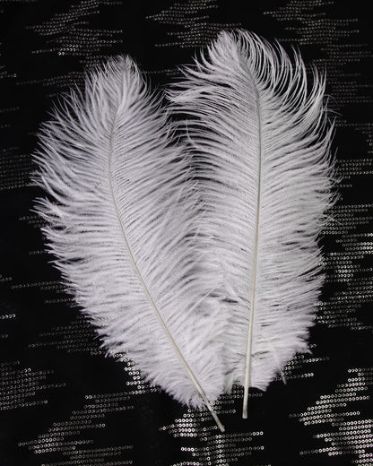 VIJIV Natural White Large Ostrich Feathers Bulk 10 Pieces - Making Kit 28 Inch Long Feathers for Crafts Flowers Vase Home Decorations Wedding Party Centerpiece Floral Arrangement