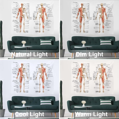 Batmerry Skeleton Tapestry, Body Human Skeleton Anatomy Backbone Biology Board Bone Picnic Mat Hippie Trippy Tapestry Wall Art Decor for Bedroom Living Room, 51.2 x 59.1 Inches, Human Anatomy