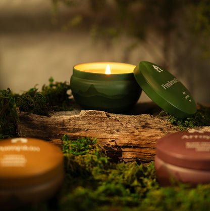 Bluecorn Aromática Scented Candle Tin, Sagebrush, Bergamont & Eucalyptus, Vegan Coconut Wax, Clean Burning & Long Lasting Candle, Room Decor, Gifts for Women and Men, Made in USA, 8 Oz