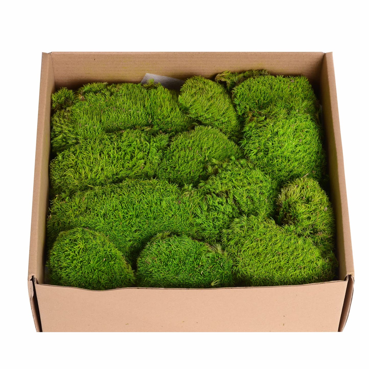 1.5 Sq. Ft. Preserved Moss Pole Decorative Moss for Crafts, Art, Wall Decor,Yellow Green Moss