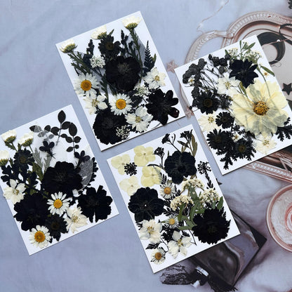 LUCISKY 90Pcs Black Pressed Dried Flowers for Resin Molds, Real Natural Bulk Dry Floral Leave for DIY Art Crafts, Epoxy Jewelry, Candle, Soap Making, Nails Decors