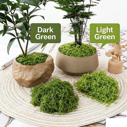 Artificial Moss 8.8oz Laying area of 12 Square feet Fake Green Moss for Crafts, Potted Plants, Fairy Garden Decor, DIY Table Centerpieces, Wedding Party Decoration window display (Moss green)