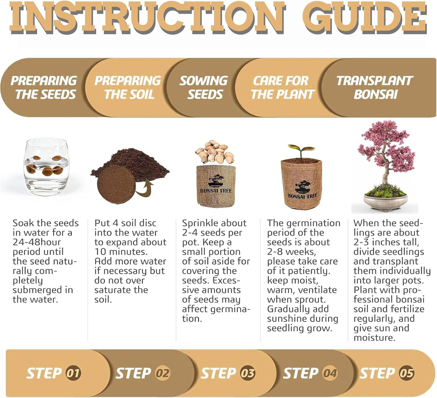 5 Indoor Bonsai Garden Starter Kit, Seeds Growing into Red Maple, Wisteria, Black Pine, Judas Tree, Acacia, Including