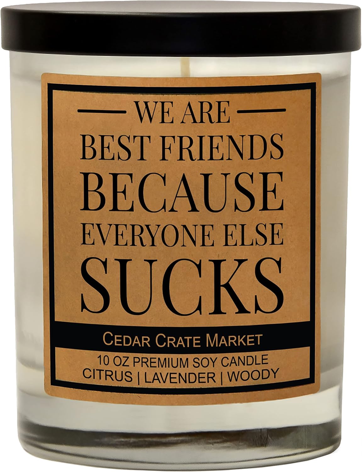 Cedar Crate Market Funny Candles Gifts for Women, Everyone Sucks for Men, Fun Birthday Presents, Made in The USA