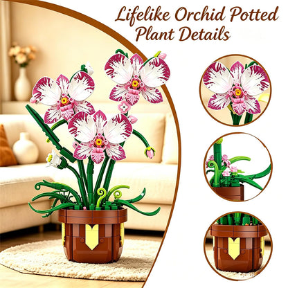 COZYMASS Orchid Building Block Set for Adults, Artificial Flower Plant Building Kit with Pot, Home, Kitchen, Dining Table Decoration, Creative Gift for Birthday (323 PCS)
