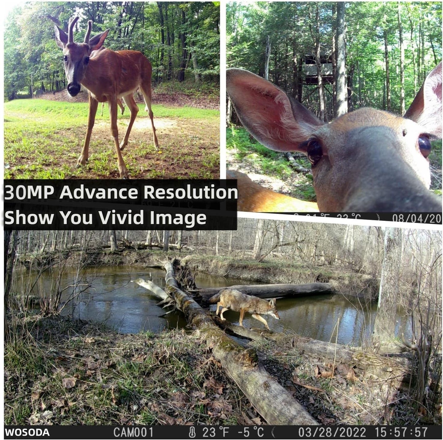 WOSODA 2 Pack Trail Camera with Night Vision Motion Activated Waterproof,30MP Hunting Game Camera,1080P HD Trail Cam with SD Card for Wildlife Monitoring,Outdoor Scouting & Security