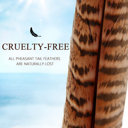 20pcs Female Pheasant Feather Natural Ringneck Tails Feathers 12-14inch 30-35cm for Crafts Home Wedding Party Performance DIY Decoration Pheasant Feather,Female Pheasant Feathers