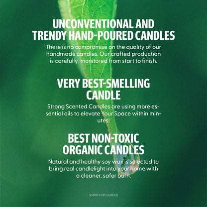 Hidden Label 4 Pack Candles for Home Scented, Aromatherapy Jar Candle Gifts for Women, Natural Candles Non Toxic Candles Set for Birthday Valentine Mother's Christmas Day Present