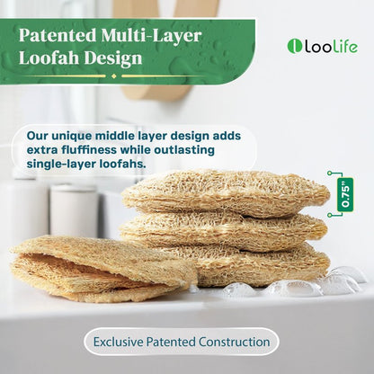 Natural Loofah Kitchen Sponge (3 Pack) - Natural Sponges for Dishes - Eco Friendly and Compostable Sponges - Biodegradable Plant Based Kitchen Dish Sponge - Plastic Free Dish Scrubber