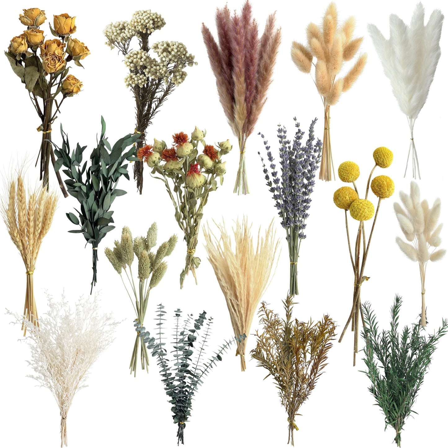 16 Varieties Dried Flowers Set, Mini Natural Dried Flowers Bulk with Stems for Vase Fillers, DIY Crafts, Wreath Making, Rustic Farmhouse Boho Home Decor, Wedding Floral Arrangement Brown Mix (7"-8")
