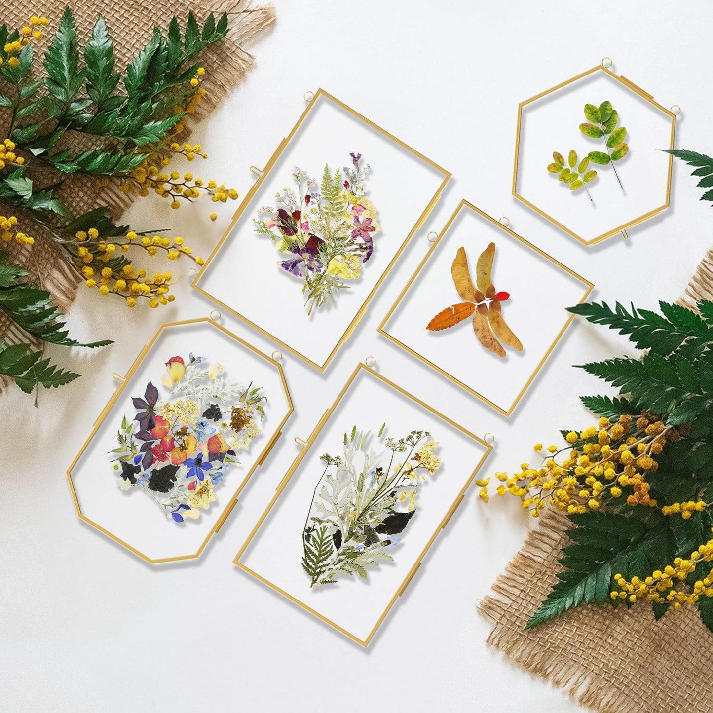 FOCHIER F 5 Pcs Pressed Flower Frames with Tweezers, Wall Hanging Tabletop Display Double Glass Frames with Metal Chain for Pressed Dried Flowers Plants, Horizontal and Vertical Picture Frame, Golden