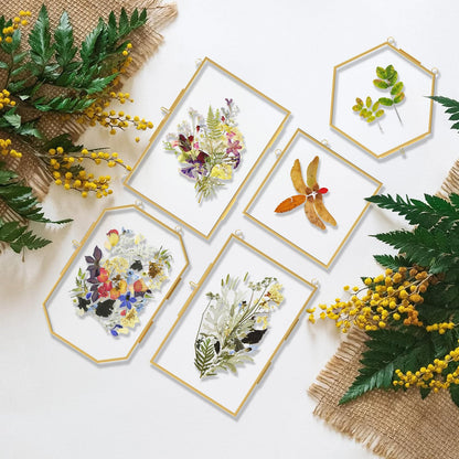 FOCHIER F 5 Pcs Pressed Flower Frames with Tweezers, Wall Hanging Tabletop Display Double Glass Frames with Metal Chain for Pressed Dried Flowers Plants, Horizontal and Vertical Picture Frame, Golden