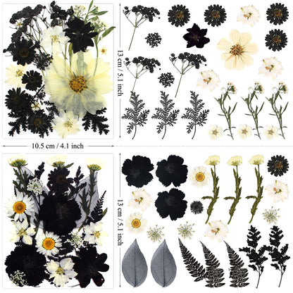 LUCISKY 90Pcs Black Pressed Dried Flowers for Resin Molds, Real Natural Bulk Dry Floral Leave for DIY Art Crafts, Epoxy Jewelry, Candle, Soap Making, Nails Decors