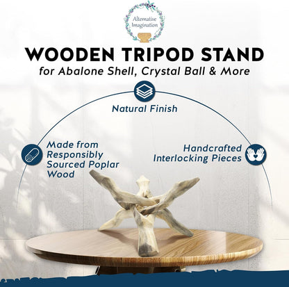 Alternative Imagination Wooden Tripod Display Stand - 6-Inch Hand Carved Holder from Mango Wood for Abalone Shell,