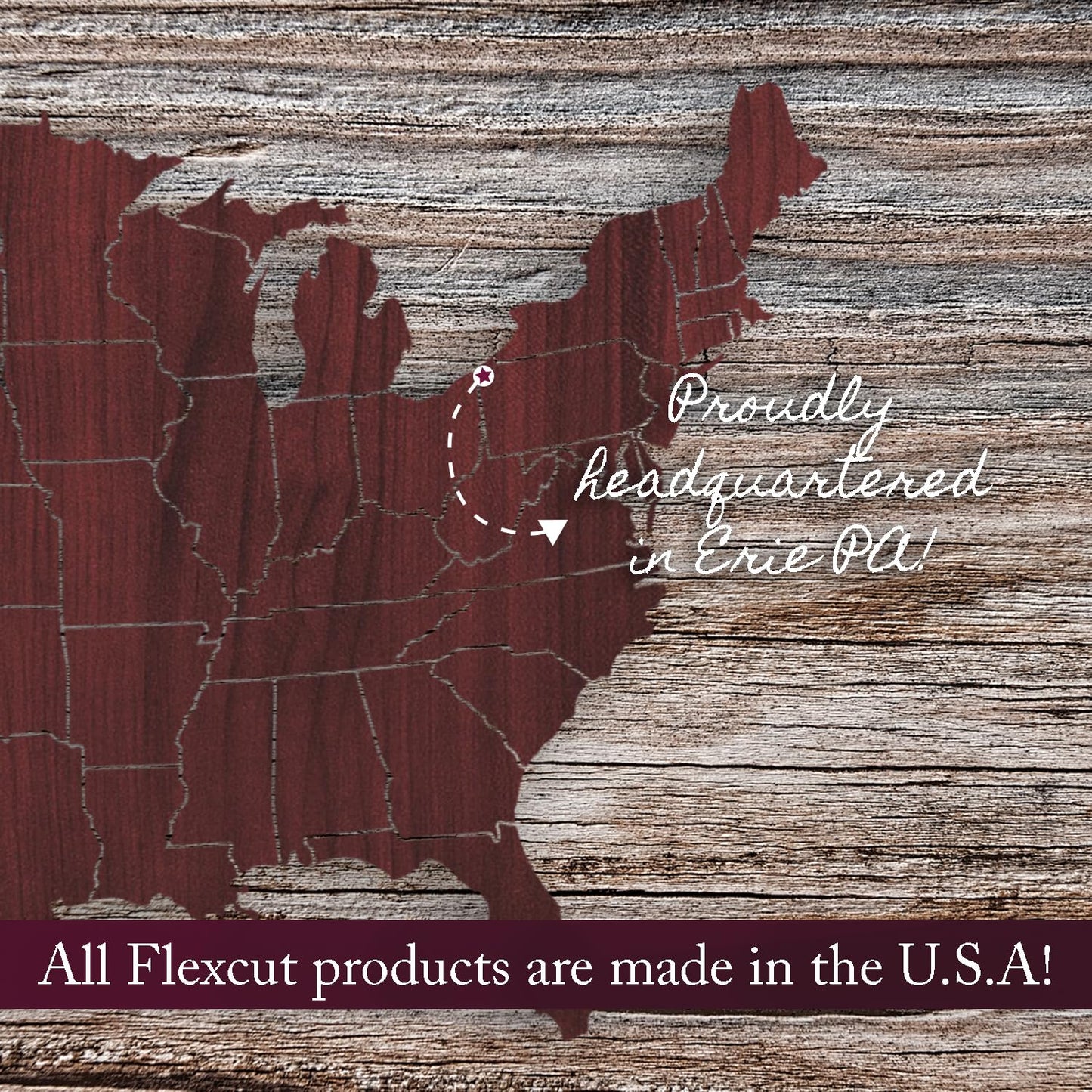 Flexcut Wood Carving Tools | 21 Piece Deluxe Starter Carving Set | Includes 16 Razor Sharp Blades, Cutting Knife, 2 Ergonomic Handles & DVD | 1095 High Carbon Steel Blades | SK108 | Made in the U.S.A.