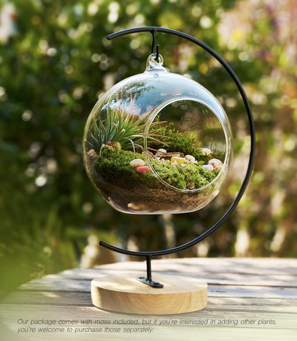 LUCKYRUNES DIY Terrarium Kit with Live Moss, 15-Piece Glass Globe Set with Wooden Stand, Tools, Soil, Stones & Spray Bottle, Indoor Mini Garden Gift for Plant Lovers, Home Desk Decor