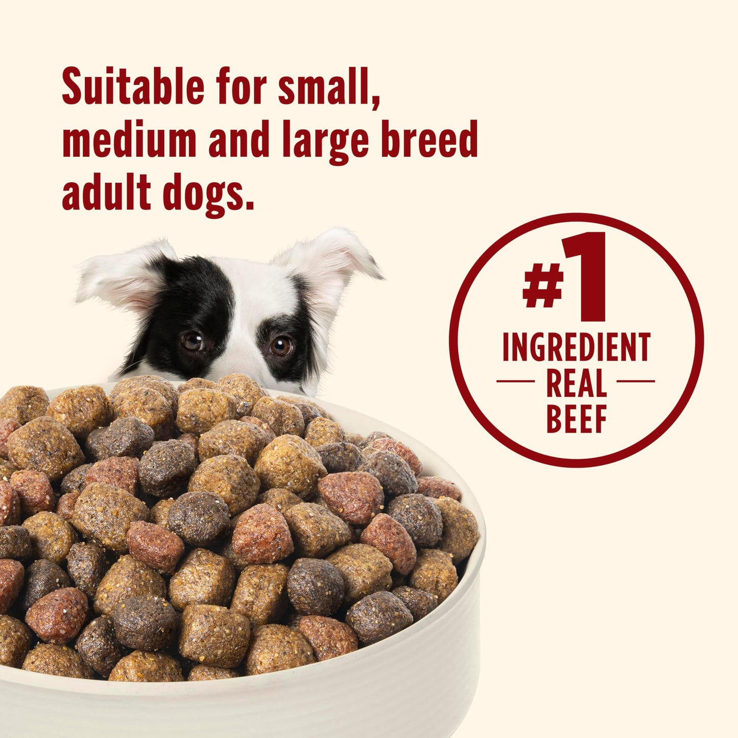 Nutrish Dry Dog Food, Real Beef, Pea & Brown Rice Recipe Whole Health Blend for Adult Dogs, 6 lb. Bag (Rachael Ray)