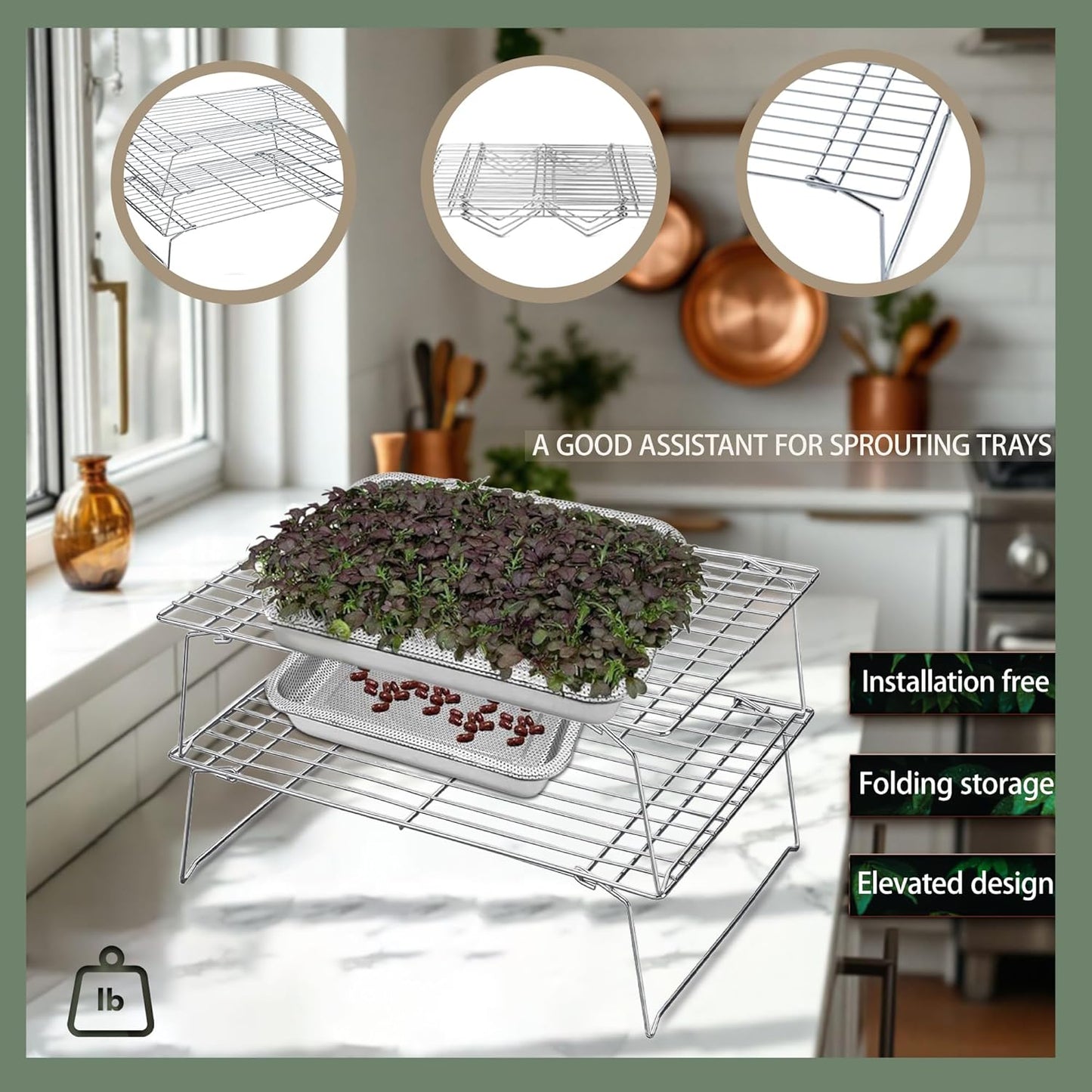 2-Tier 14 inch Sprouts Growing Rack Shelf, Metal Foldable Plant Stand for Sprouting Tray Indoor, Seed Starting Tray