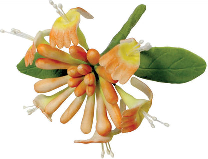 PME Honeysuckle Cutters, Set of 3, White, 5 x 5 x 5 cm