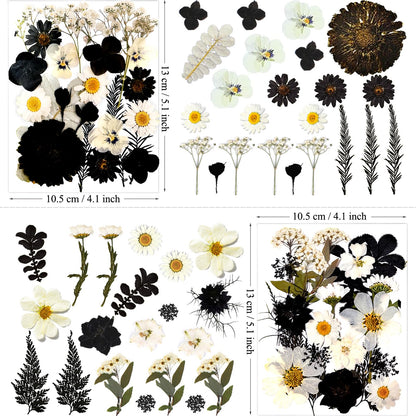 MIKIYA 90Pcs Black Pressed Dried Flowers for Resin Molds, Real Natural Bulk Dry Floral Leave for DIY Art Crafts, Epoxy Jewelry, Candle, Soap Making, Nails Decors Gifts