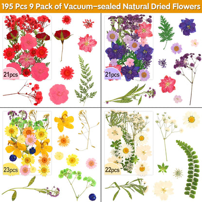 235 Pcs Pressed Dried Flowers for Resin, Natural Real Dried Pressed Flowers for Crafts, Bulk Dry Flowers for Resin Molds, Candles, DIY Art Jewelry Making with Tweezers Butterfly Stickers Set Decorate