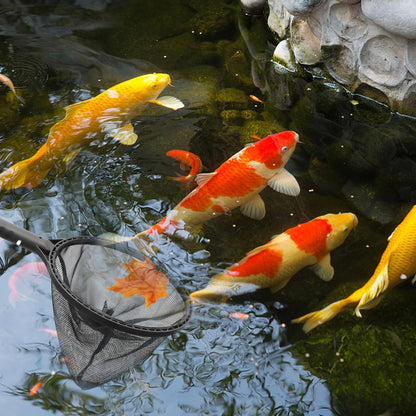 Yardwe Swimming Pool Leaf Net, Fine Mesh Frame Net, Small Pool Strainers, Salvage Net for Pool Leaf Cleaning
