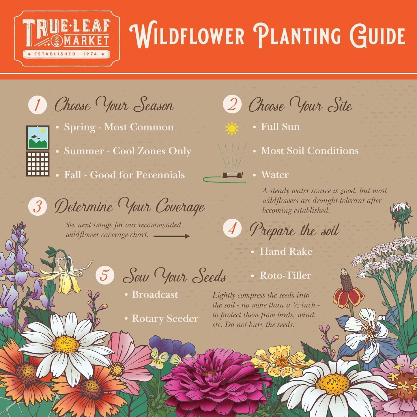 Wildflower Seeds Bulk, 2 Oz. – 80,000+ Seeds Butterfly & Hummingbird Mix, 23 Non-GMO Varieties for Pollinator Planting