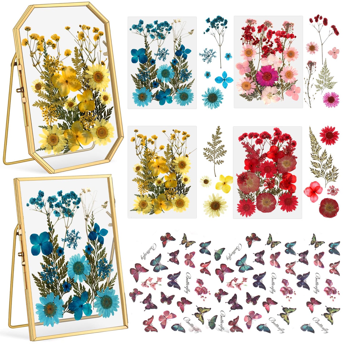 Amyhill 2 Pcs Glass Pressed Flower Frame with Dried Pressed Flowers, Brass Double Glass Photo Frame Includes 72 Pcs Real Dried Flowers, 65 Piece Butterfly Stickers and Tweezer for Handicrafts