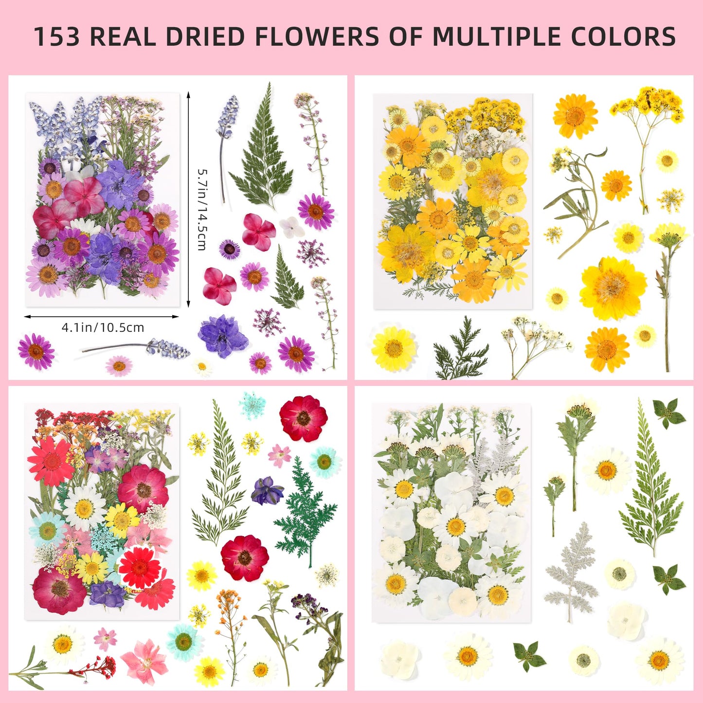 Botanical Pressed Flower Set – Real Dried Flowers & Leaves for Resin Art, Scrapbooking, Candle Making, and DIY Nature Crafts