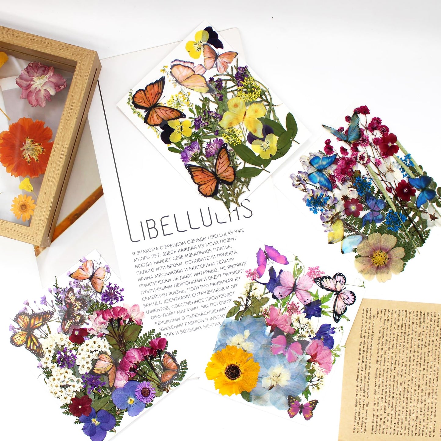 LUCISKY 99Pcs Pressed Dried Flowers and Butterfly for Resin Molds, Assorted Real Natural Flowers Leaves Stickers for DIY Art Nail Crafts, Jewelry, Candle, Soap Crafts Making