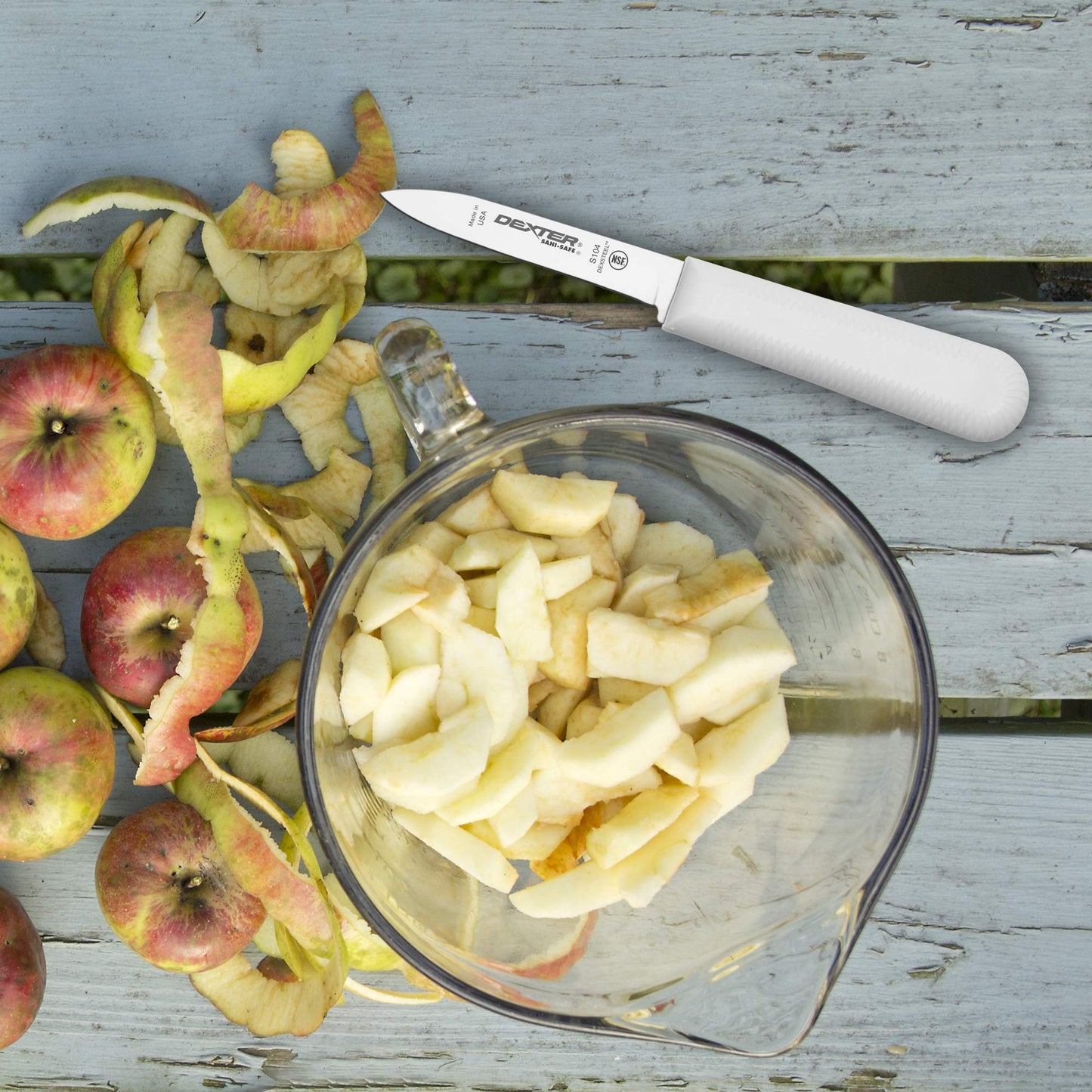 Dexter-Russell Sani-Safe 3-Pack of 3¼" Paring Knives, Slip-Resistant White Handles, Durable DEXSTEEL Blades – Ideal for Precise Peeling & Carving Fruits and Vegetables, NSF Certified