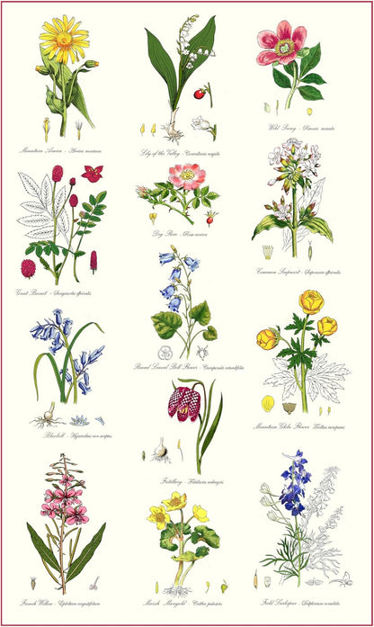 Samuel Lamont Botanic Garden Kitchen/Tea Towel, 100% Cotton, Imported from UK