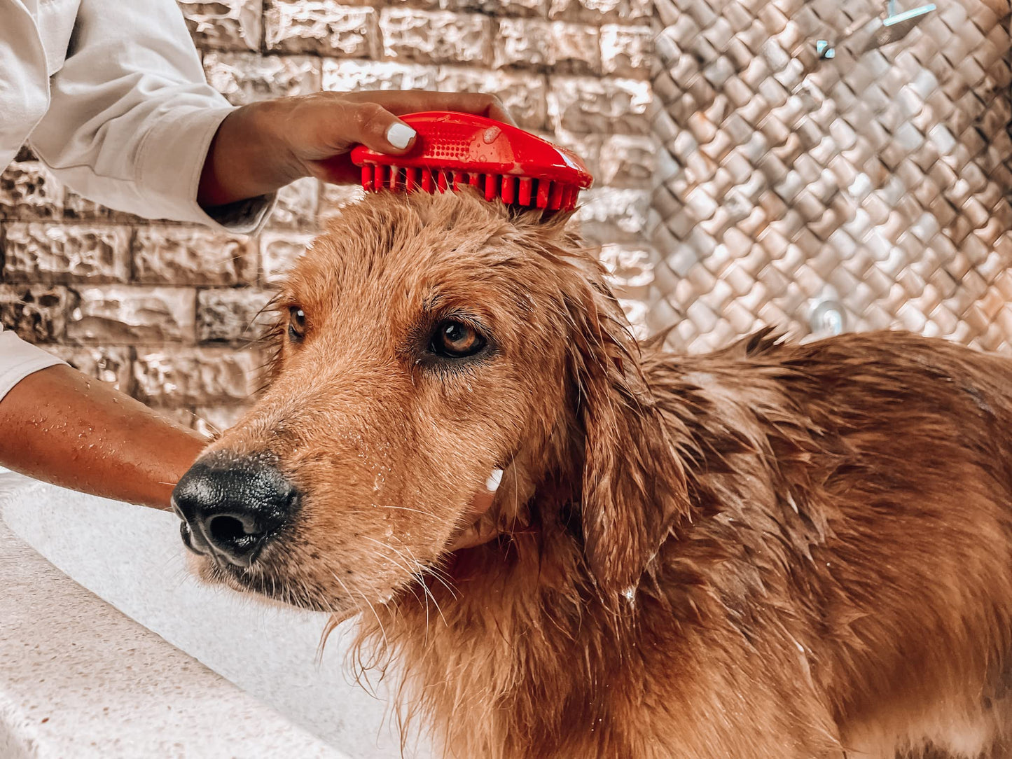 Tuff Pupper Dog Bath Brush, Silicone Pet Hair Remover Brush for Shampooing & Massaging Dogs, Dog Washing Brush with Soft Rubber Bristles Gently Removes Loose & Damaged Fur