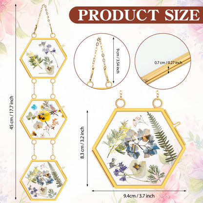 Marsui 3 Set Double Glass Frame Collage For Pressed Flowers with 9 Pcs 4 x 3 Inch Openings Gold Hanging Glass Floating Photo Frames for Artwork Display Photo Modern Home Wall Decor