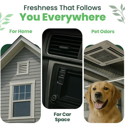 Air Freshener for HVAC System, Commercial, Residential & Cars| Made with Thyme extract, natural Plant based product Now available in a Concentrated Formula for maximum effectiveness (PACK 1)