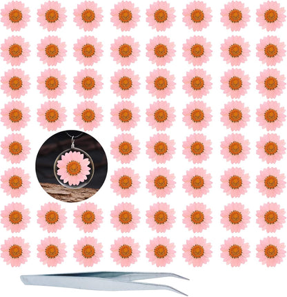 Dried Pressed Flowers, 60PCS Pink Natural Real Daisy for DIY Craft, Scrapbooking, Candle Making