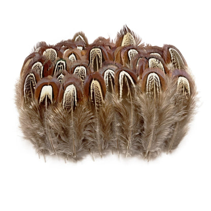 200 pcs Natural Pheasant Plumage Feathers 2-3 Inches Plumage Feathers for Sewing Crafts Clothing Decorating Accessories -Nature